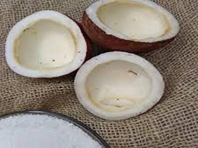 تصویر 3 از خرید و قیمت نارگیل خشک کاسه ای + فروش عمده